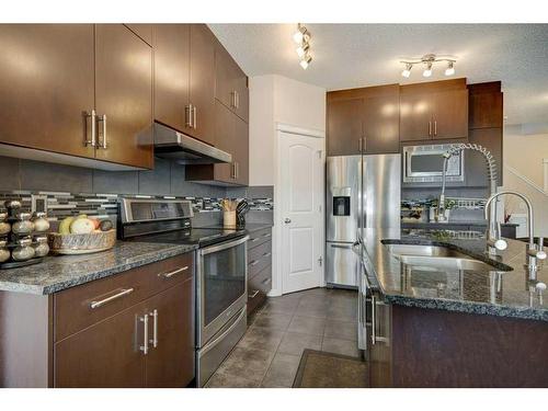 129 Walden Crescent Se, Calgary, AB - Indoor Photo Showing Kitchen With Stainless Steel Kitchen With Double Sink With Upgraded Kitchen