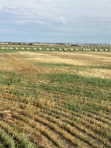 Range Rd 14 Road 14, Rural Rocky View County, AB 