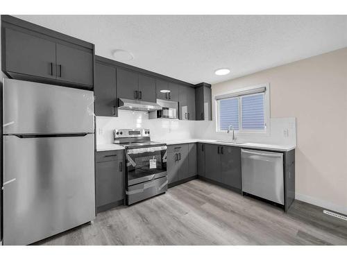 168 Faldale Close Ne, Calgary, AB - Indoor Photo Showing Kitchen