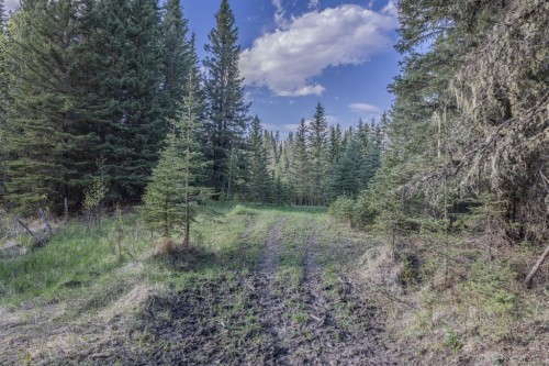 231175 Bracken Road, Bragg Creek, AB 