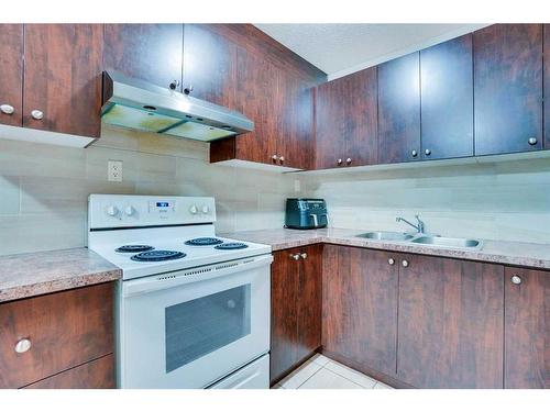 22 Saddleback Road Ne, Calgary, AB - Indoor Photo Showing Kitchen With Double Sink