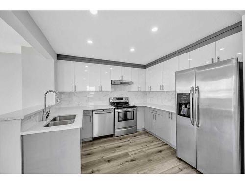 215 Coral Springs Circle Ne, Calgary, AB - Indoor Photo Showing Kitchen With Double Sink With Upgraded Kitchen