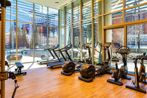 907-738 1 Avenue Sw, Calgary, AB - Indoor Photo Showing Gym Room
