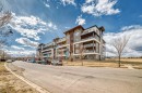 8202-1802 Mahogany Boulevard Se, Calgary, AB  - Outdoor 