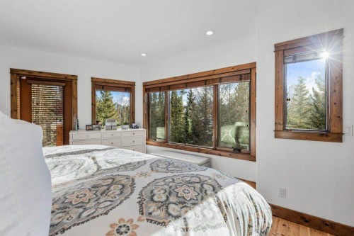521 Silvertip Road, Canmore, AB - Indoor Photo Showing Bedroom