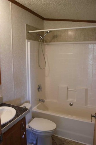 37479 Range Road 260, Rural Red Deer County, AB - Indoor Photo Showing Bathroom