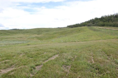 37479 Range Road 260, Rural Red Deer County, AB - Outdoor With View