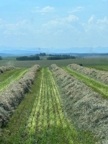 177 Avenue, Rural Foothills County, AB 