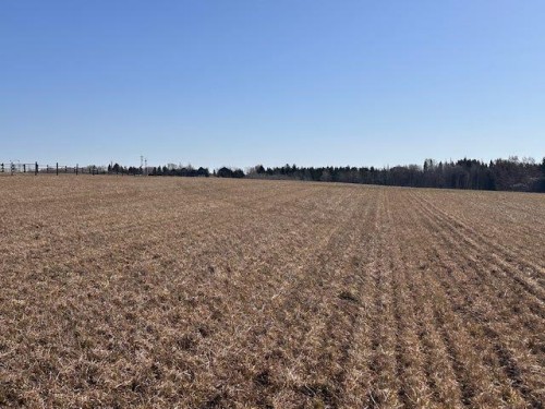 177 Avenue, Rural Foothills County, AB 