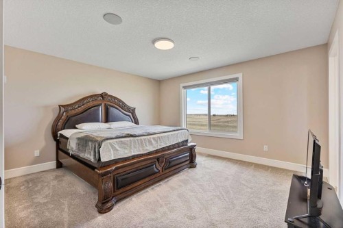 146 Muirfield Boulevard, Lyalta, AB - Indoor Photo Showing Bedroom