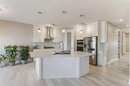 146 Muirfield Boulevard, Lyalta, AB - Indoor Photo Showing Kitchen With Upgraded Kitchen