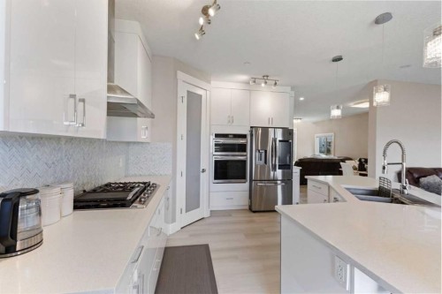 146 Muirfield Boulevard, Lyalta, AB - Indoor Photo Showing Kitchen With Double Sink With Upgraded Kitchen