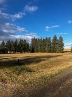 228 2 Street SOUTH Huxley, AB T0A 1X0