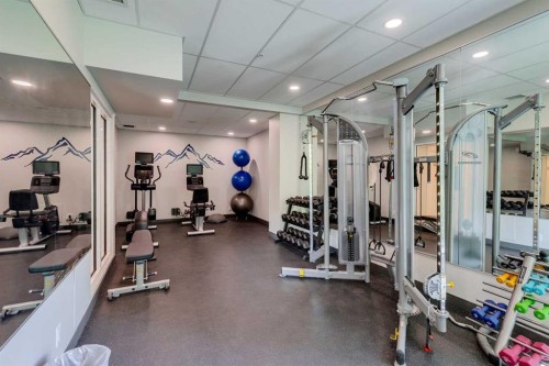 1401-837 2 Avenue Sw, Calgary, AB - Indoor Photo Showing Gym Room