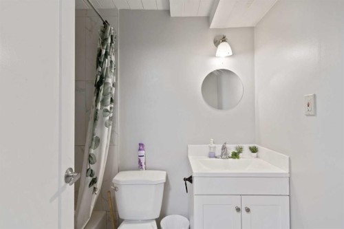 319 Rundlelawn Road Ne, Calgary, AB - Indoor Photo Showing Bathroom