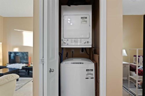 1213-1053 10 Street Sw, Calgary, AB - Indoor Photo Showing Laundry Room