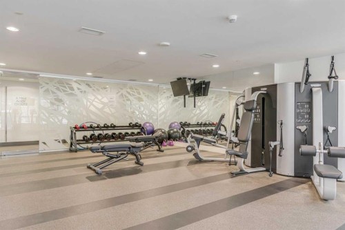 905-626 14 Avenue Sw, Calgary, AB - Indoor Photo Showing Gym Room