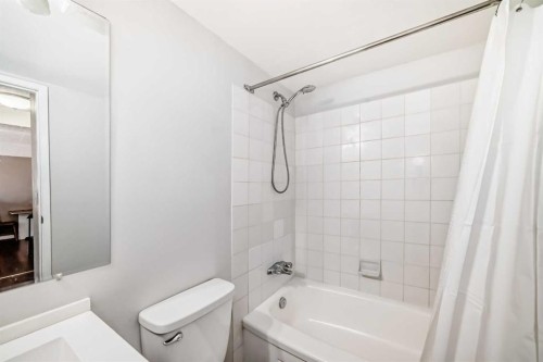 203-1113 37 Street Sw, Calgary, AB - Indoor Photo Showing Bathroom