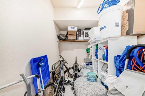 203-1113 37 Street Sw, Calgary, AB - Indoor With Storage