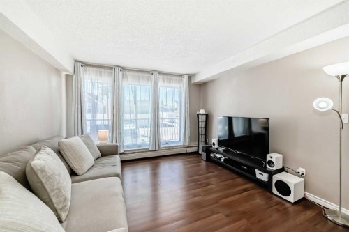203-1113 37 Street Sw, Calgary, AB - Indoor Photo Showing Living Room
