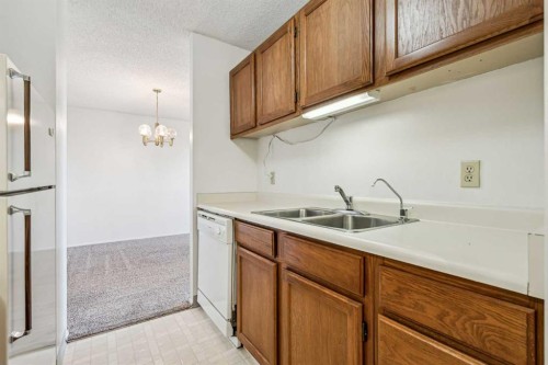 1609-924 14 Avenue Sw, Calgary, AB - Indoor Photo Showing Kitchen With Double Sink