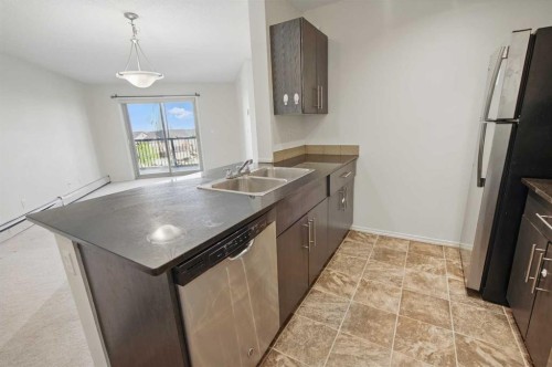 409-15 Saddlestone Way Ne, Calgary, AB - Indoor Photo Showing Kitchen With Double Sink