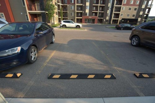 409-15 Saddlestone Way Ne, Calgary, AB - 