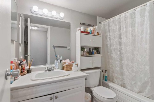 303-30 Mchugh Court Ne, Calgary, AB - Indoor Photo Showing Bathroom