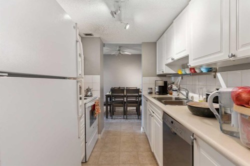 303-30 Mchugh Court Ne, Calgary, AB - Indoor Photo Showing Kitchen With Double Sink