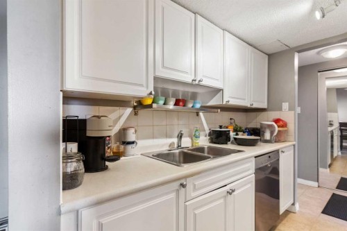 303-30 Mchugh Court Ne, Calgary, AB - Indoor Photo Showing Kitchen With Double Sink
