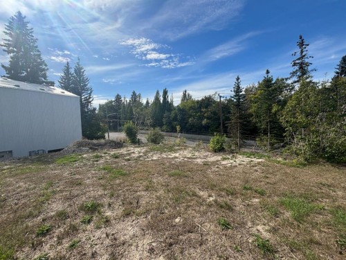 4220 Elbow Drive Sw, Calgary, AB 