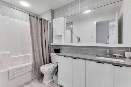 305-4138 University Avenue Nw, Calgary, AB - Indoor Photo Showing Bathroom
