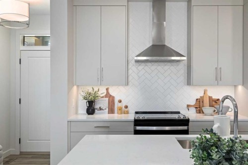 111 Sage Meadows View Nw, Calgary, AB - Indoor Photo Showing Kitchen With Double Sink With Upgraded Kitchen