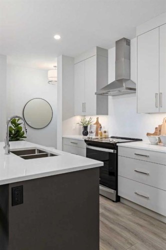 111 Sage Meadows View Nw, Calgary, AB - Indoor Photo Showing Kitchen With Double Sink With Upgraded Kitchen