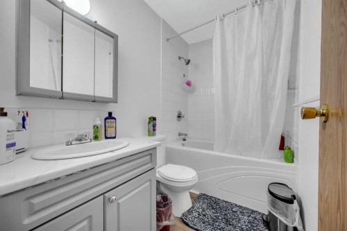 54 Templegreen Road Ne, Calgary, AB - Indoor Photo Showing Bathroom