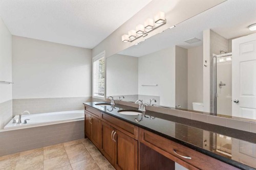 77 Auburn Glen Common Se, Calgary, AB - Indoor Photo Showing Bathroom