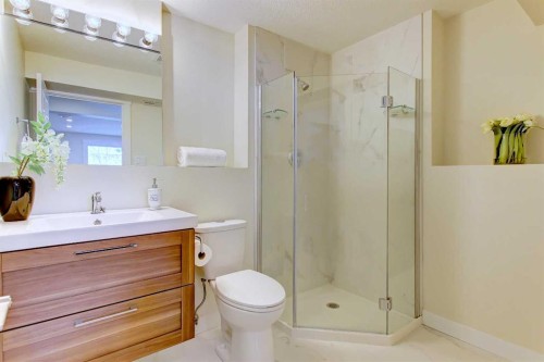 272 Acadia Drive Se, Calgary, AB - Indoor Photo Showing Bathroom