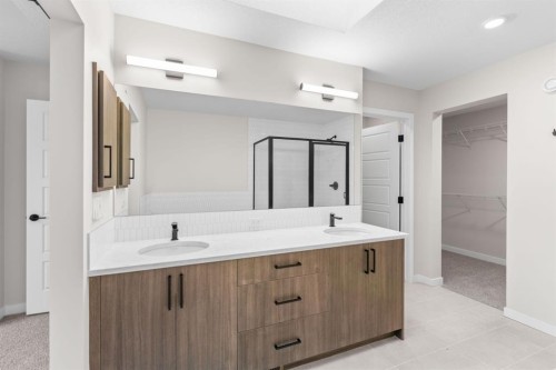 4067 Sawgrass Street Nw, Airdrie, AB - Indoor Photo Showing Bathroom