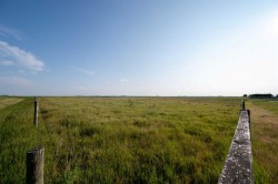 Trans Canada Highway #1 Range Road 255  Strathmore, AB T0J 1Y0