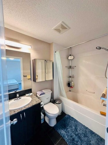225 Panatella Square Nw, Calgary, AB - Indoor Photo Showing Bathroom