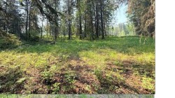 221054 670 Township Rural Athabasca County, AB T9S 2B5