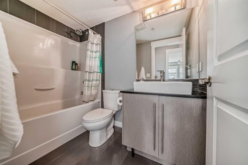 1113-11 Mahogany Row Se, Calgary, AB - Indoor Photo Showing Bathroom