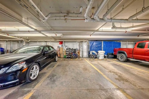 1113-11 Mahogany Row Se, Calgary, AB - Indoor Photo Showing Garage