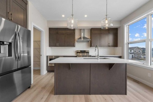 121 Wild Rose Way Se, Calgary, AB - Indoor Photo Showing Kitchen With Stainless Steel Kitchen With Upgraded Kitchen