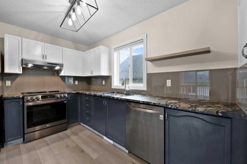 7136 Laguna Way Ne, Calgary, AB - Indoor Photo Showing Kitchen With Double Sink