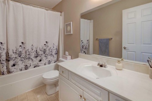 22 Tarington Landing Ne, Calgary, AB - Indoor Photo Showing Bathroom