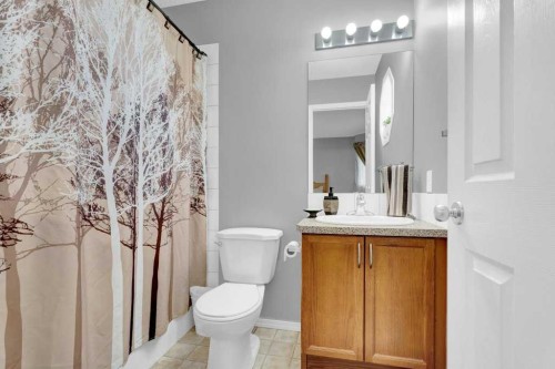 241 Covemeadow Road Ne, Calgary, AB - Indoor Photo Showing Bathroom