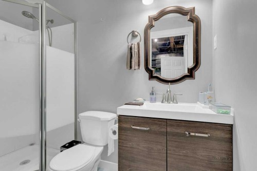 241 Covemeadow Road Ne, Calgary, AB - Indoor Photo Showing Bathroom