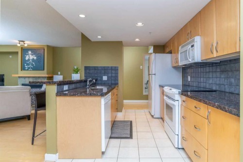 1403-1088 6 Avenue Sw, Calgary, AB - Indoor Photo Showing Kitchen