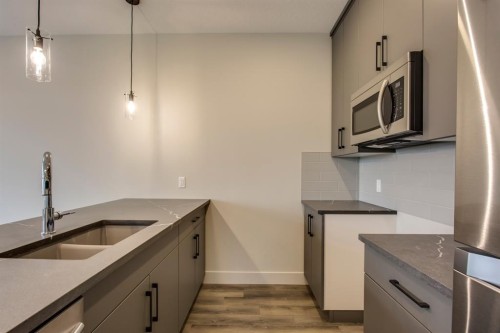 259 Royal Elm Road Nw, Calgary, AB - Indoor Photo Showing Kitchen With Double Sink